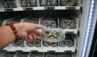 龙8头号玩家(国际)官方网站